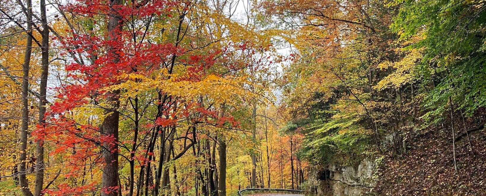 Fall drives New River Gorge Fayette Station