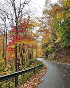 Fall drives New River Gorge Fayette Station