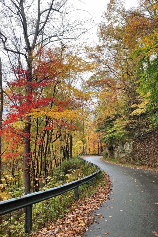 Fall drives New River Gorge Fayette Station